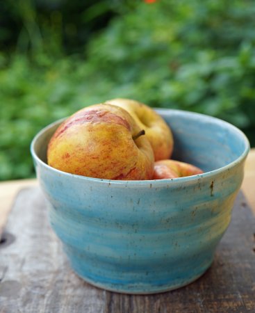 wunderschöne handgedrehte Schale Bowl für Obst, Pralinen, kekse, etc.